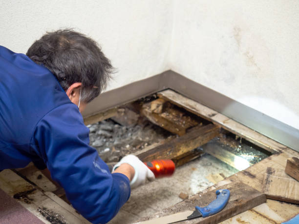 Crawl Space Mold Removal in Briar Chapel, NC