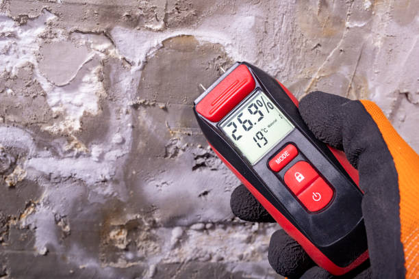Best Office Mold Removal Services  in Briar Chapel, NC
