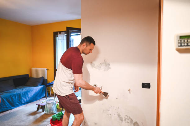 Trusted Briar Chapel, NC Mold Removal Experts